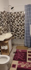 a bathroom with a sink and a toilet at Casa Rebeca in Orşova