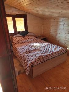 1 dormitorio con 1 cama en una cabaña de madera en Cabana familiei, 