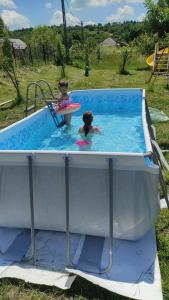 dos niños están jugando en una piscina en Cabana familiei, 