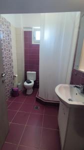 a bathroom with a toilet and a sink at Melistalia apartment 2 in Nea Michaniona