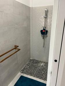 La salle de bains est pourvue d'une douche et d'un tapis bleu. dans l'établissement Appartement cosy et bien situé, à Fort-de-France