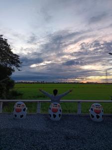 une personne assise sur une chaise donnant sur un champ dans l'établissement I miss you โฮมสเตย์อยุธยา, à Phra Nakhon Si Ayutthaya