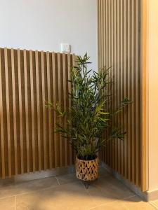 Fotografie z fotogalerie ubytování Apartman Get Rest v destinaci Žabljak
