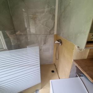 y baño con ducha y puerta de cristal. en Appartement free WiFi en Breitenau am Hochlantsch