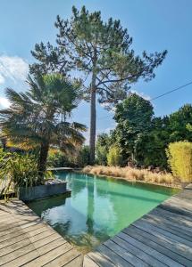 une piscine dans un jardin avec une terrasse en bois dans l'établissement Fare Bambou, à Gujan-Mestras
