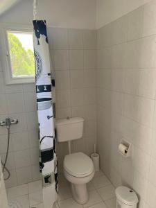 a bathroom with a toilet and a shower curtain at Peaceful House in Naxos Chora