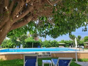 una piscina con 2 sillas azules y un árbol en Cormoranos Apartments Eco Green en Kissamos