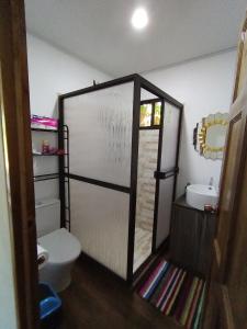 een badkamer met een douche, een toilet en een wastafel bij Casa Lapa Delicias in Montezuma