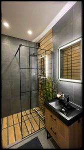a bathroom with a shower and a sink and a mirror at Good Knight Apartman in Szeged