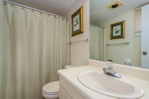 a bathroom with a sink and a toilet and a shower at Beary Relaxing in McHenry +24 photos