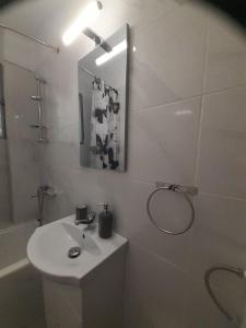 bagno bianco con lavandino e doccia di Central Apartment ad Atene