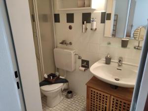 a bathroom with a toilet and a sink at Ferienappartement Potthoff 1 in Altenau +41 photos