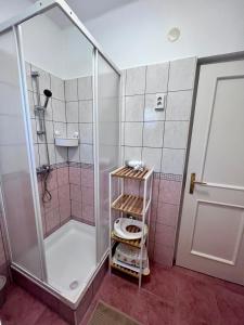 a bathroom with a shower and a toilet in it at Barka Vendégház Tisza-tó in Abádszalók