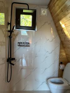 a bathroom with a toilet and a window at Glacier Shoda in Ghebi