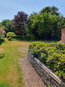 a garden with some bushes and a brick wall at Mormors idyl in Henne