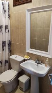 uma casa de banho com um WC, um lavatório e um espelho. em La Casilla: Casa acogedora a los pies de la Atalaya. em Níjar