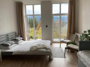 ein Schlafzimmer mit einem Bett und einem großen Fenster in der Unterkunft Apartmán Vyhlídka Hamry in Hamry