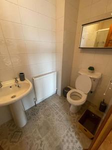 La salle de bains est pourvue de toilettes et d'un lavabo. dans l'établissement The Meadows 4 bedroom, à Buncrana