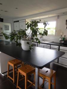 eine Küche mit einem Tisch und Pflanzen darauf in der Unterkunft Maison de vacances au calme entre St Malo et Cancale in Saint-Méloir-des-Ondes
