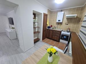 Кухня или мини-кухня в 2х-ком Люкс в центре Шымкента Проспект Б Момышулы 4а
