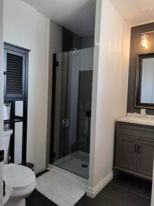 een badkamer met een douche, een toilet en een wastafel bij PNW Home With Private Outdoor Getaway Space. in Des Moines