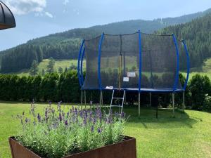 a batting cage in a field with purple flowers at DIE FILZMOOSERIN - home living apartments in Filzmoos