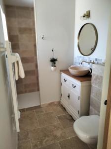 une salle de bain avec un lavabo, des toilettes et un miroir dans l'établissement Les Granges des Petits Couleurs, aux Épesses