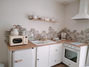 a kitchen with a microwave and a sink at Maisonnette Familiale proche du PUYDUFOU in Les Épesses