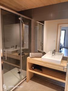 a bathroom with a sink and a shower at Chalet Kelly in Les Orres