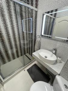 uma casa de banho com um WC, um lavatório e um chuveiro em SunSet Apartament em Oradea