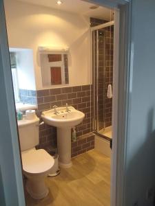 a bathroom with a toilet and a sink and a shower at Rose Cottage. Richmond, North Yorkshire in Richmond
