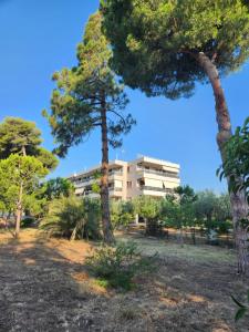 Κήπος έξω από το Zouberi Τwins Luxury Appartments(South)