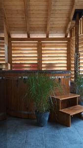 Fotografia z galérie ubytovania Willa Pod Reglami Małe Ciche Sauna & Jacuzzi v destinácii Ciche Małe