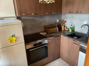 a kitchen with a stove and a sink and a refrigerator at Anako in Novi Vinodolski