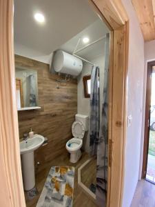 a bathroom with a toilet and a sink at Bungalows and rooms Ivan in Žabljak