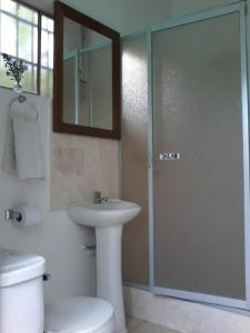 bagno con lavandino, servizi igienici e specchio di Cloud forest SAN CARLOS a La Merced