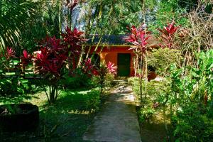 O grădină în afara Cesar's Tropical Hotel