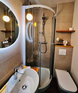 een badkamer met een douche, een wastafel en een toilet bij L'Escoundillou in Saint-Jacques-des-Blats