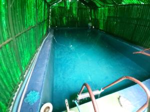 a pool of blue water in a green cage at Julija Pansion in Senta