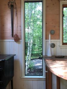 una ventana en una cabaña con vistas al bosque en Tinyhouse auf Rädern, en Grängesberg