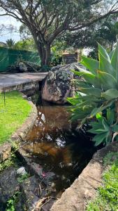 Um jardim em Pousada Primavera