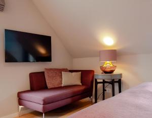 TV a/nebo společenská místnost v ubytování Patentkrug Design Hotel