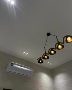 a ceiling with three lights and a fan at Oxygen hatta in Hatta
