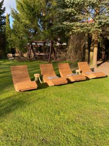 a row of chairs sitting in the grass at Noclegi na Mazurach. in Olsztynek