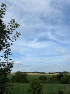 een groen veld met bomen en een blauwe lucht bij Le coquelicot in Maimbeville