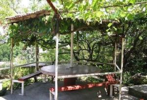 a gazebo with a table and a tree at Vila Magdalena-Star Dojran in Star Dojran +1 photo