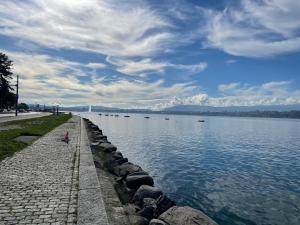 a large body of water with a person sitting on the shore at Cozy, quiet apartment in town center - near Geneva, Annecy, Chamonix, Lac Léman in Bons-en-Chablais