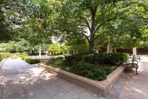 park z ławkami, drzewem i fontanną w obiekcie Awesome 1 BR Apt + Den At Crystal City With Gym w mieście Arlington