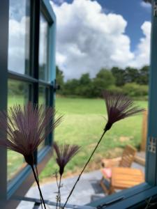 twee paarse bloemen in een vaas voor een raam bij St. Kew Shepherd Huts in Wadebridge