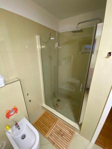 a bathroom with a shower and a toilet and a sink at POP'S POOL PLACE in Sečovlje +5 photos